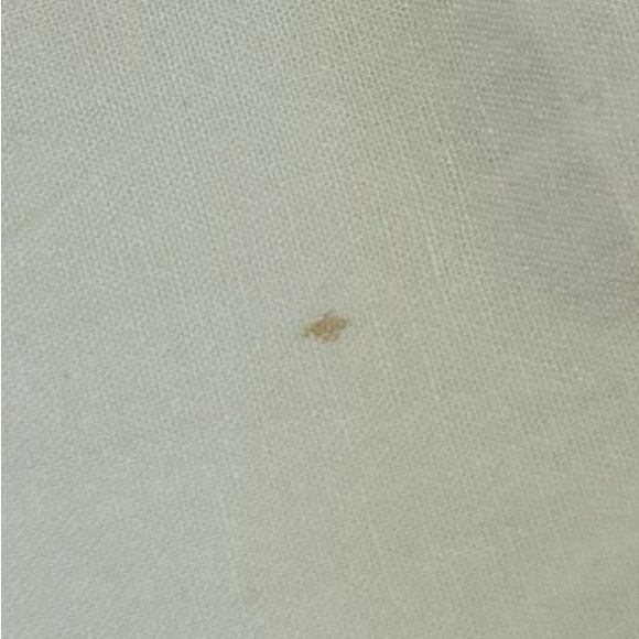 Maeve Womens Floral Patchwork Button Up Shirt Size XL Ivory Long Sleeve Collar - Picture 14 of 14